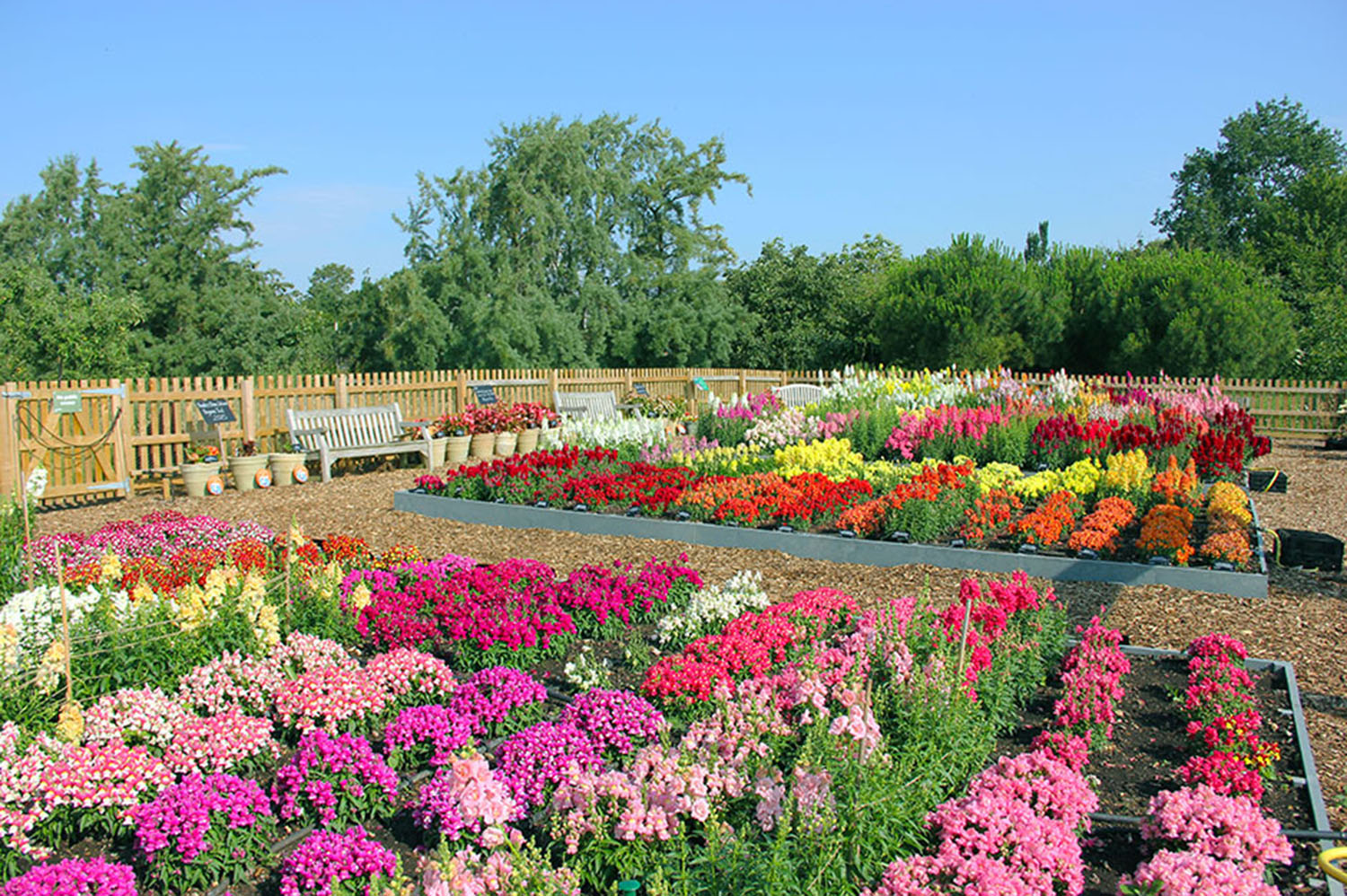 Hyde Hall Floral Fantasia